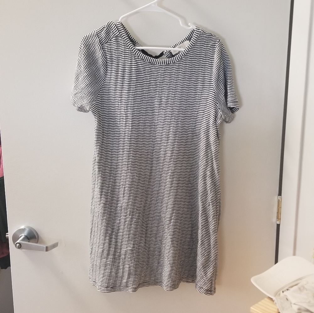 Loft Black and White Knit Dress